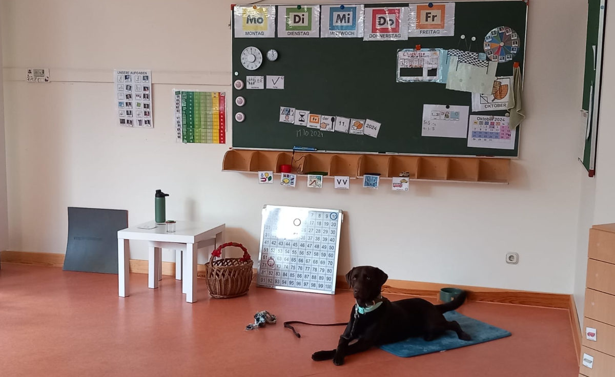 RWTH Aachen Bildungsfonds 2023 Stipendium Keyser Stiftung Therapiehund Labrador Rio, Lindlar