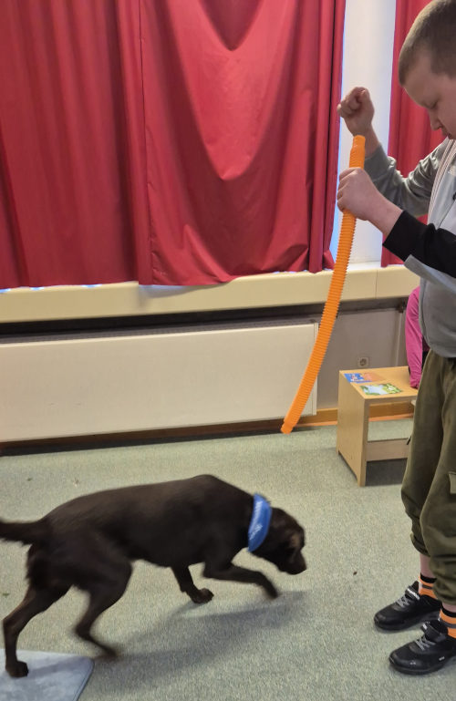 RWTH Aachen Bildungsfonds Stipendium Keyser Stiftung Therapiehund Rio, mit Schüler, Lindlar